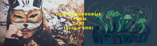 амф Богородск