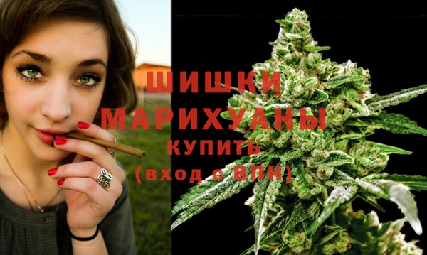 спайс Богородицк