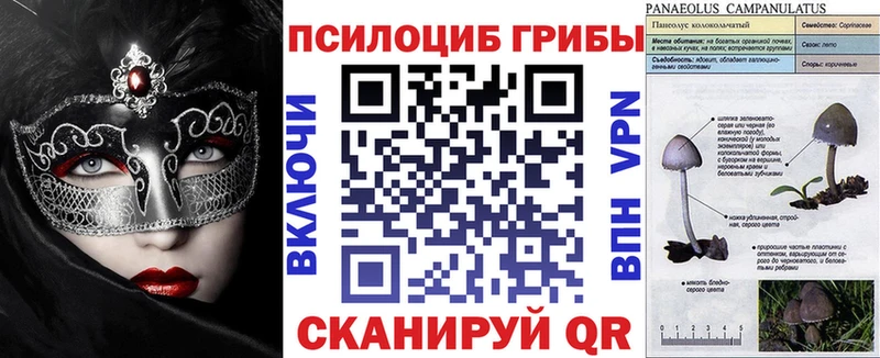 Псилоцибиновые грибы Psilocybine cubensis  блэк спрут рабочий сайт  Балтийск 